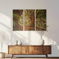 AC-120R080