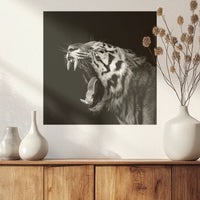 PO-040W040