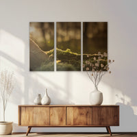 LW-120R080