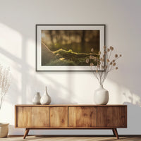 PKP100W070