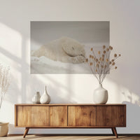 PO-090W060