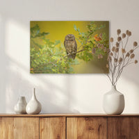 AL-060W040