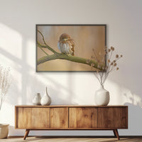 PK-093W062