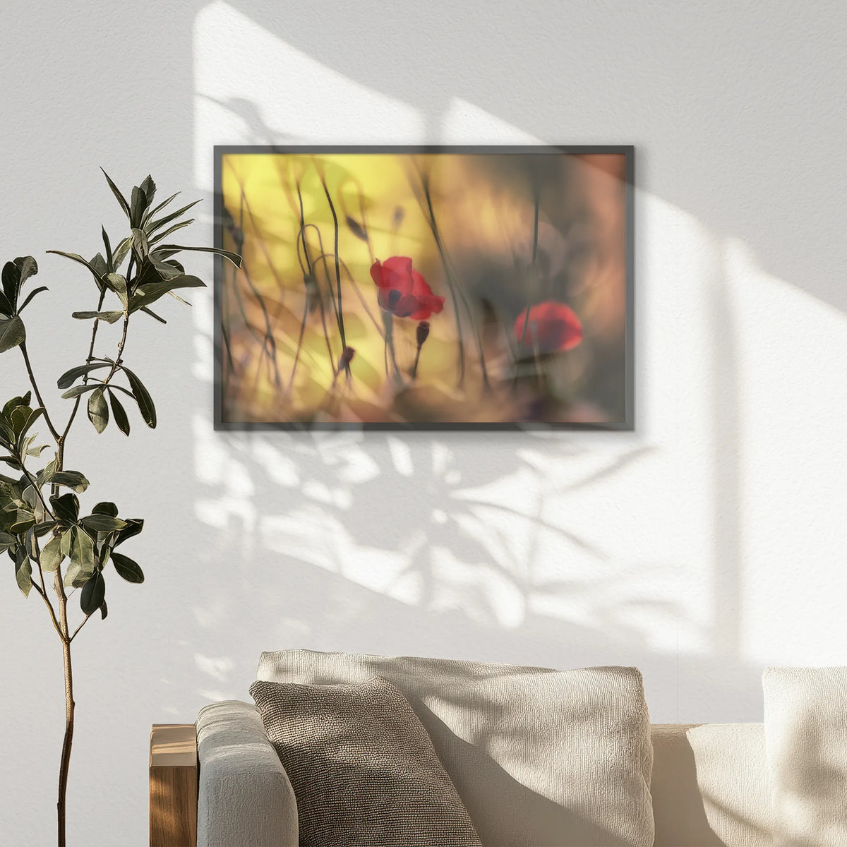 PK-093W062