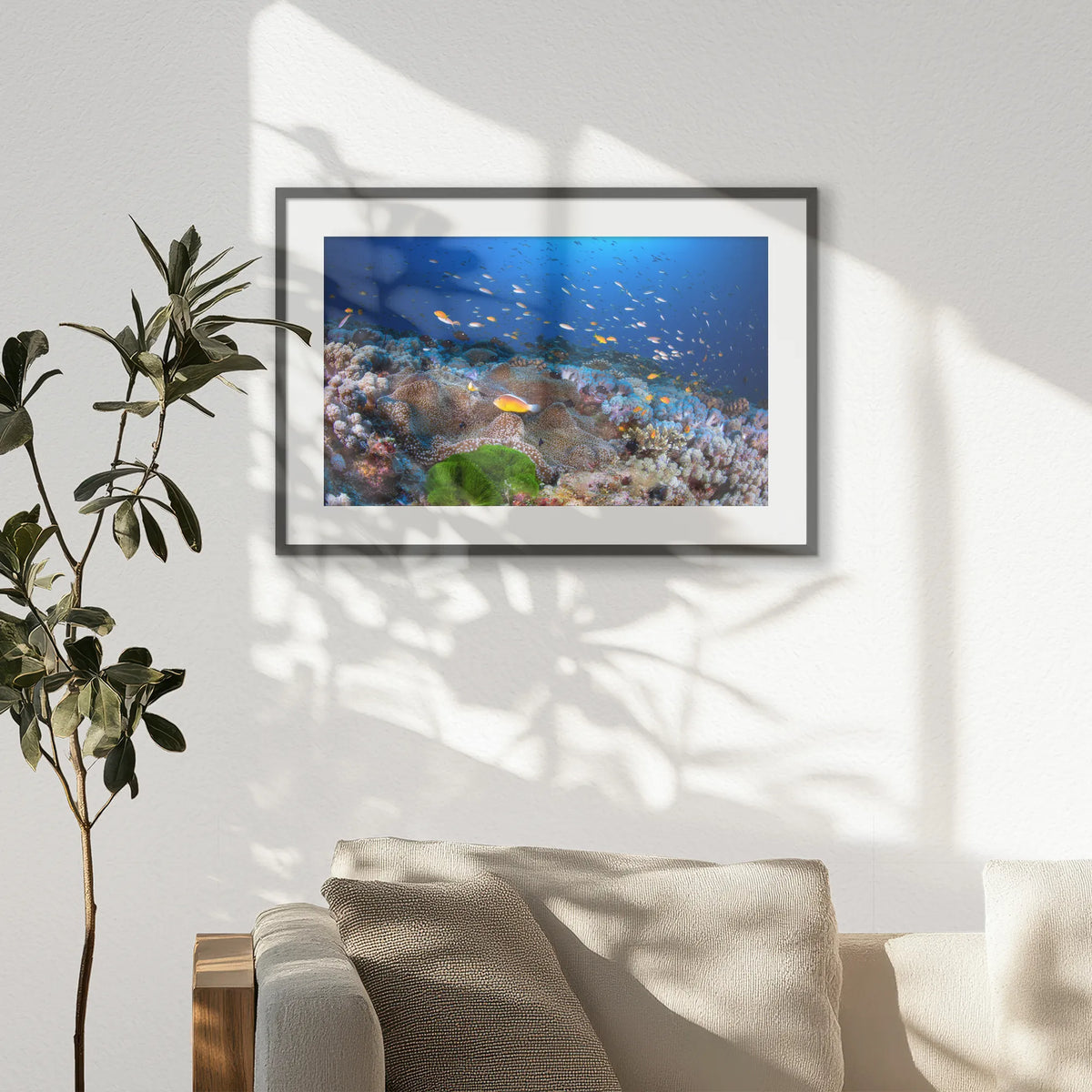 PKP093W062
