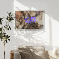 PS-060W040