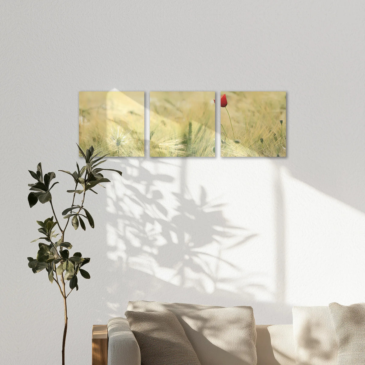 AC-150S050