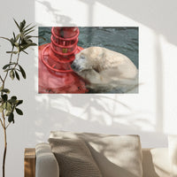 PO-030W020