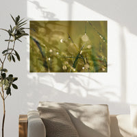 PO-030W020