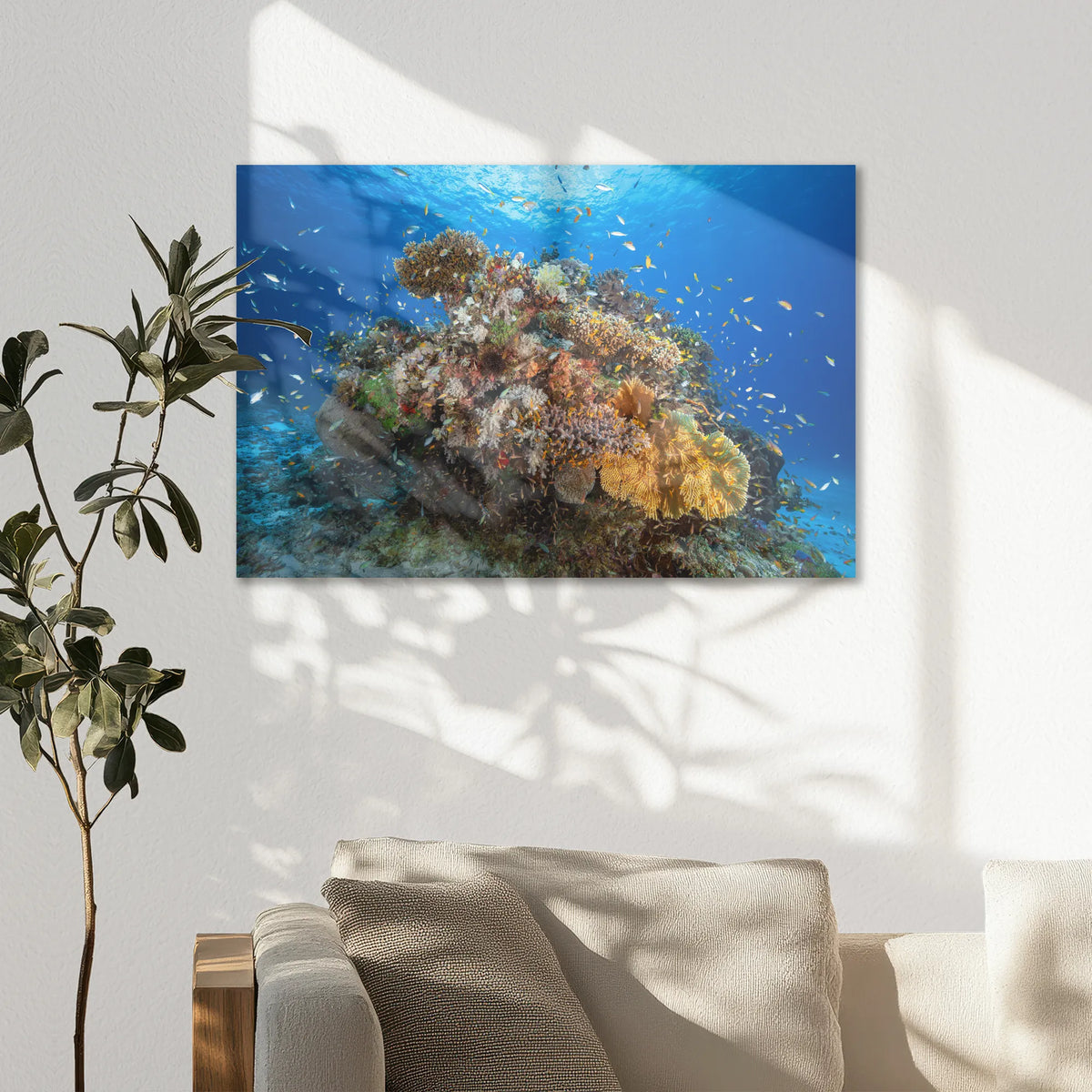 AC-075W050