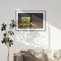 PBP120W080