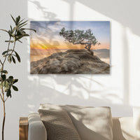 AC-030W020