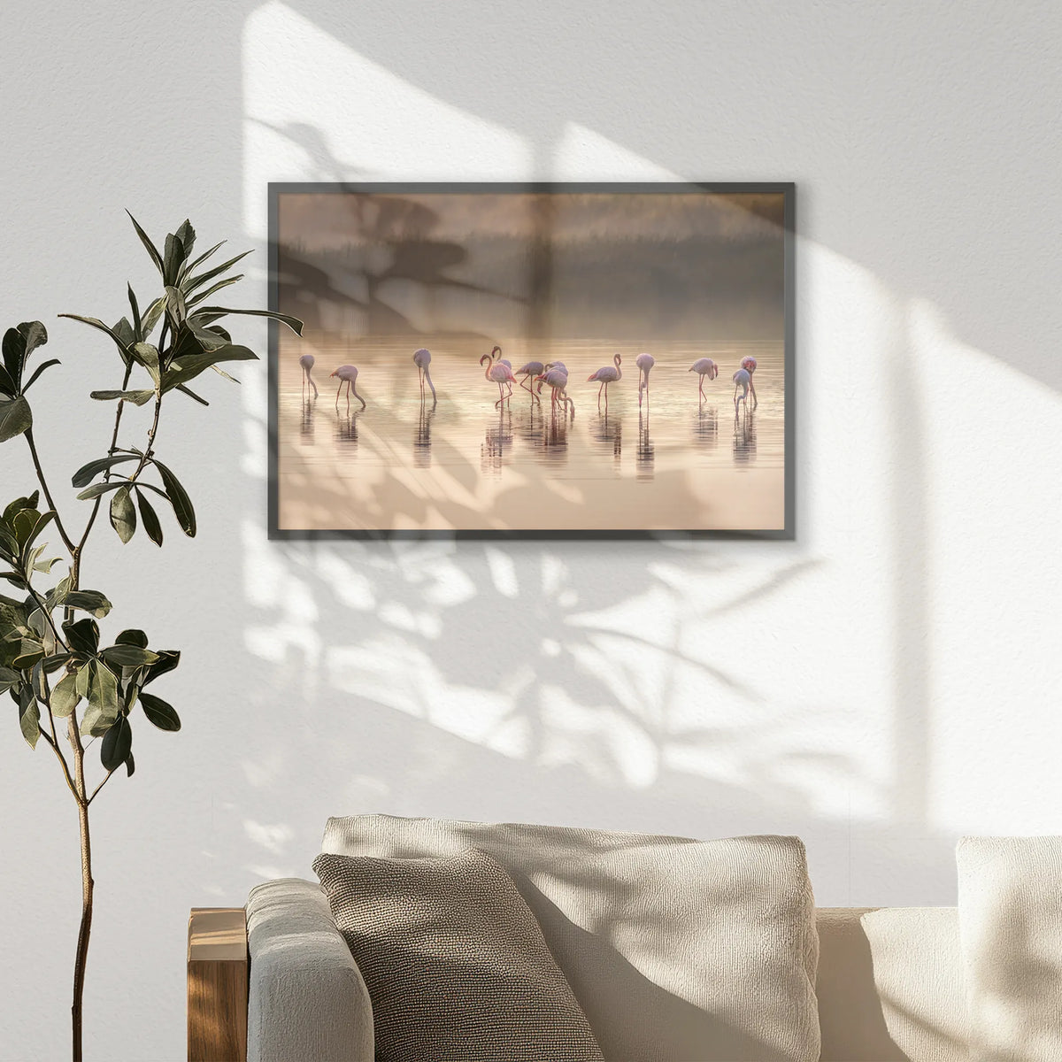 PK-093W062