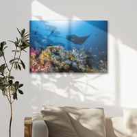 LW-075W050