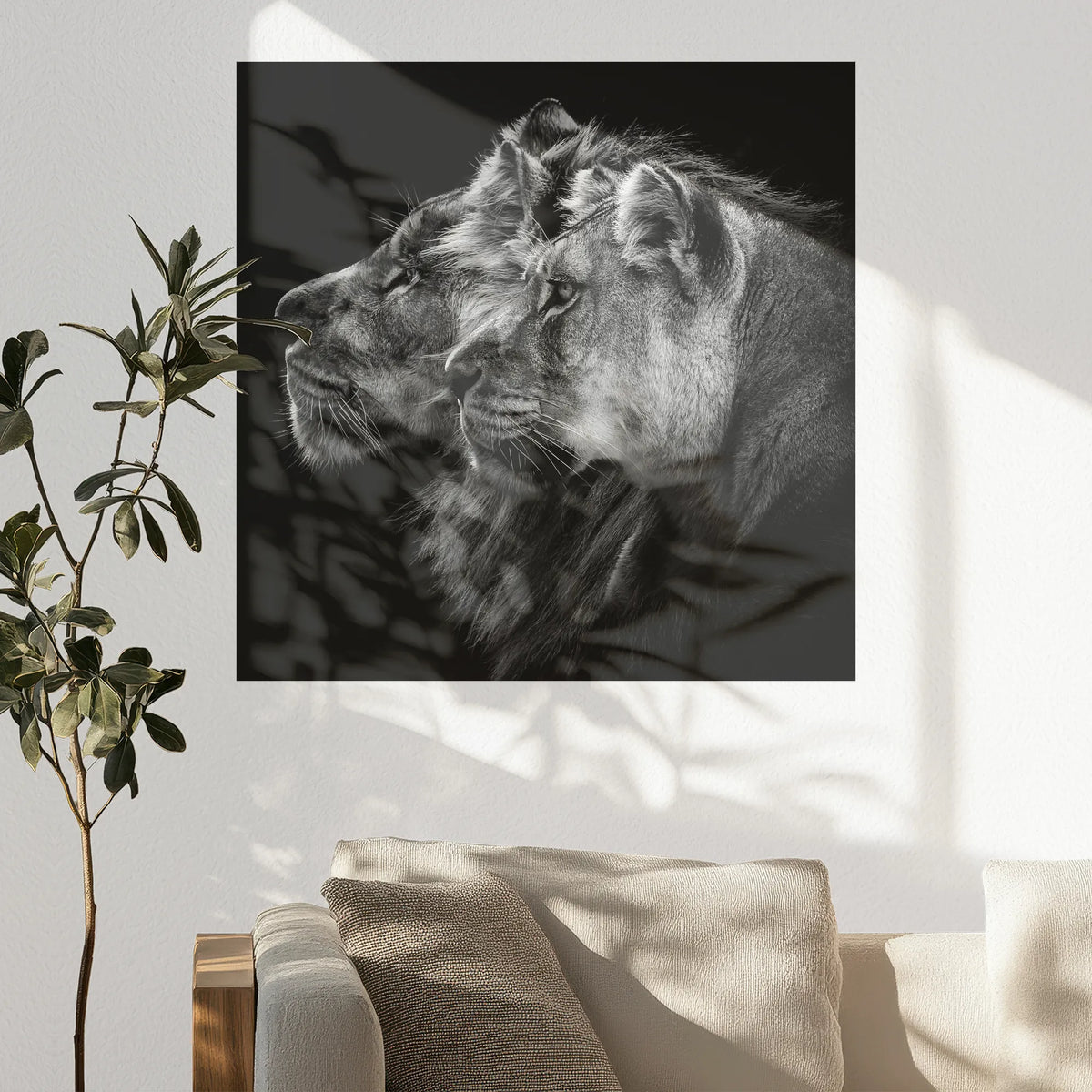 PO-070W070