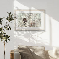PNP060W040