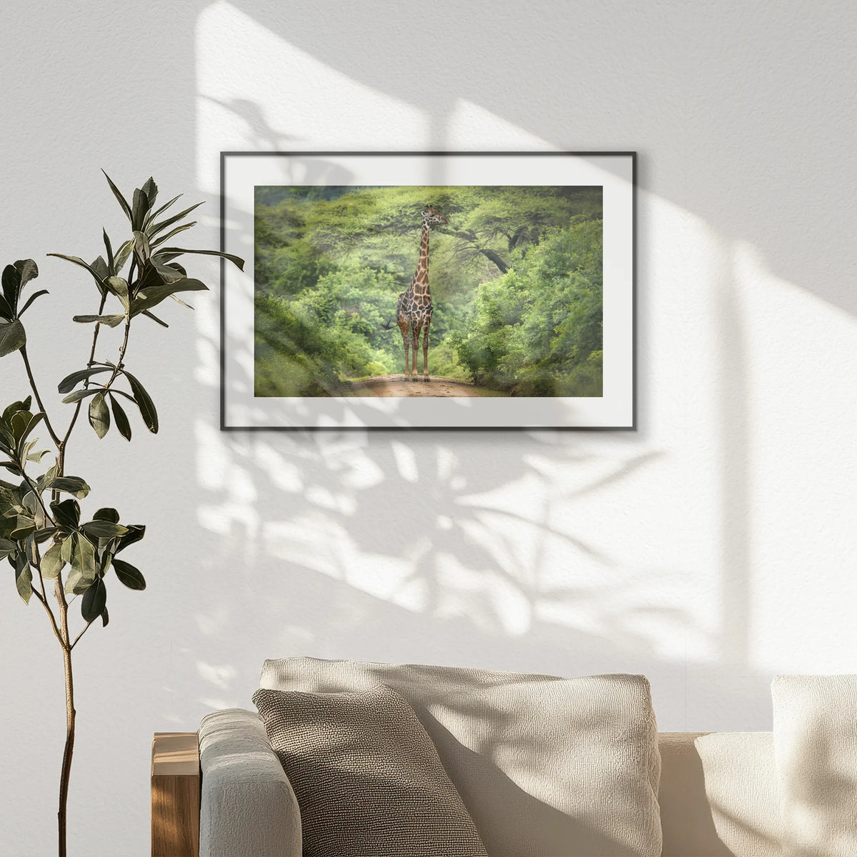 PBP093W062