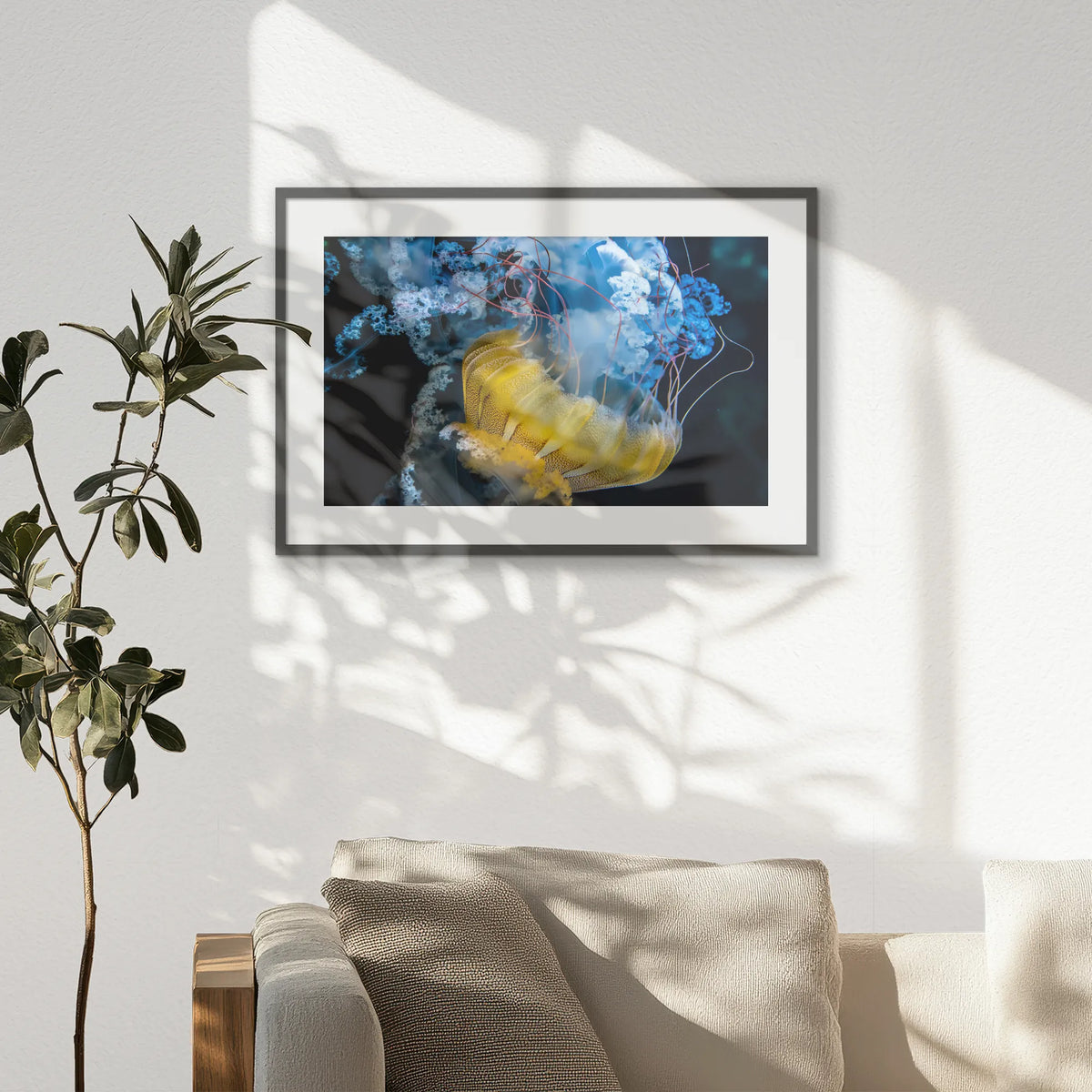 PKP093W062