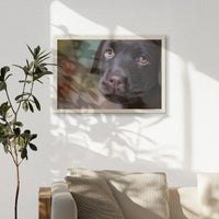 PN-060W040