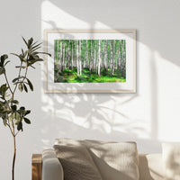 PNP060W040
