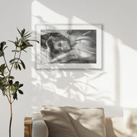 PSP093W062