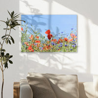 AC-045W030