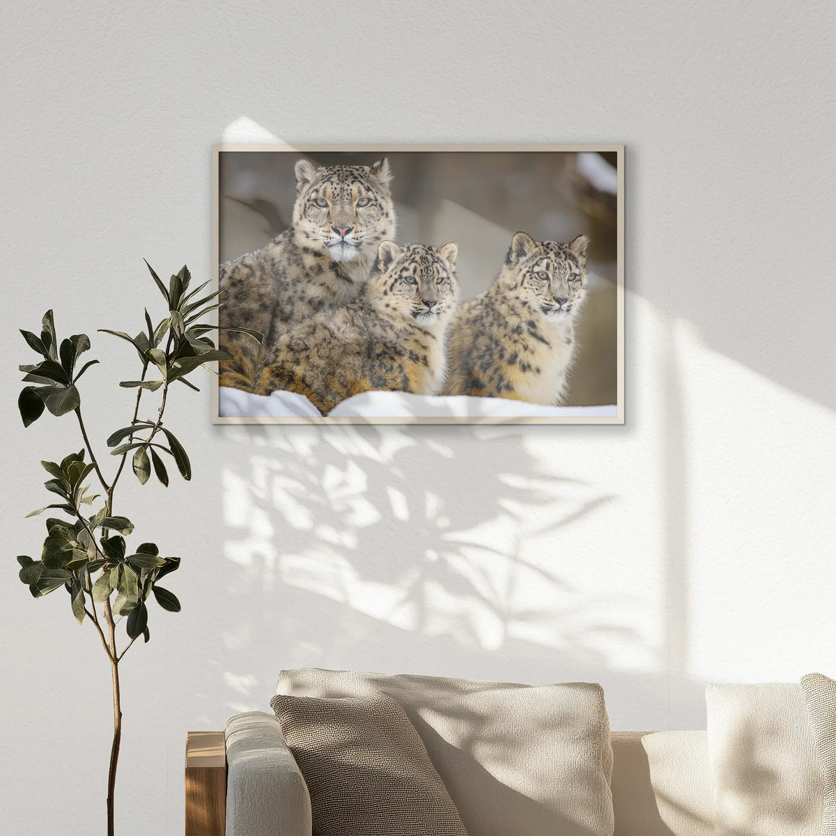 PN-100W070