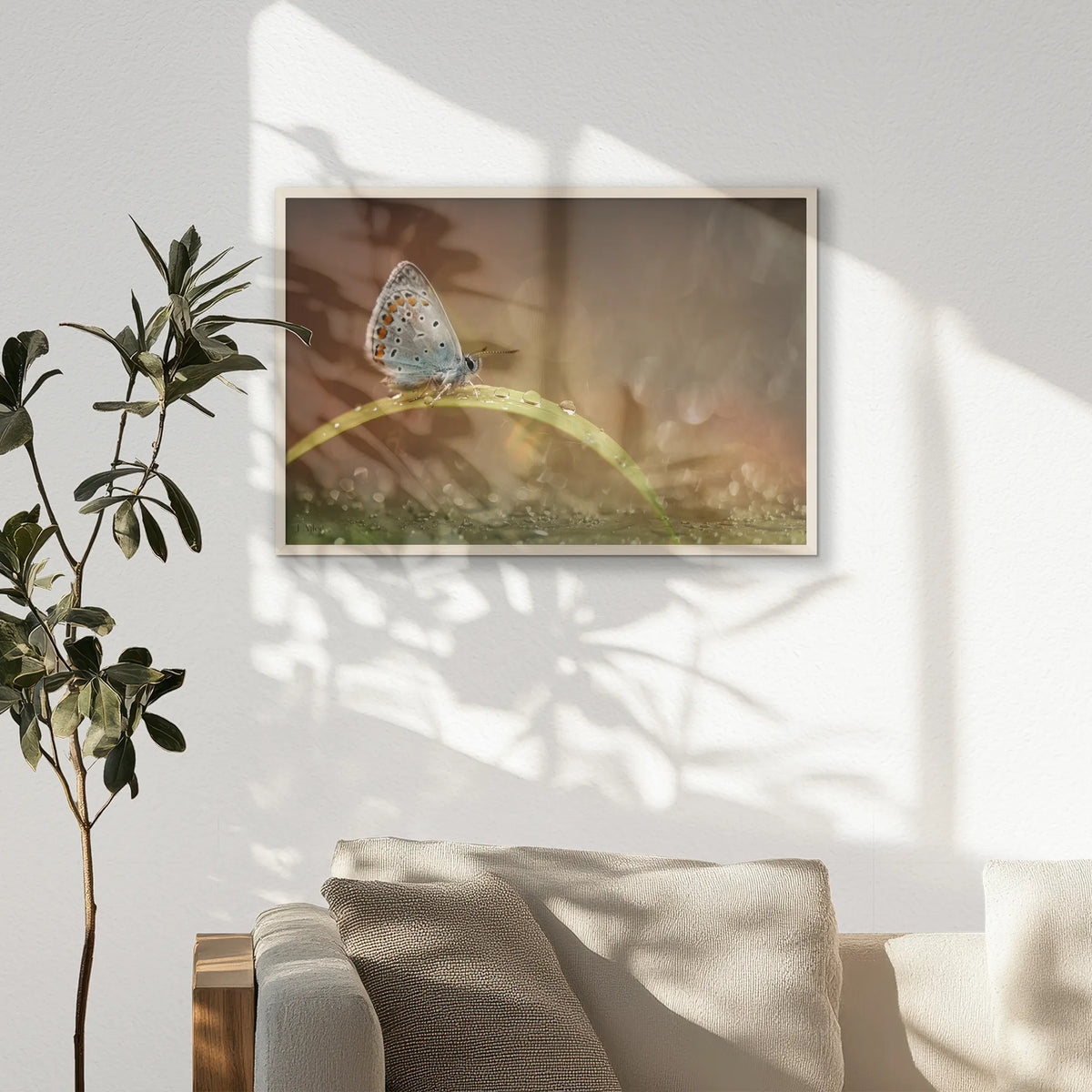 PN-093W062