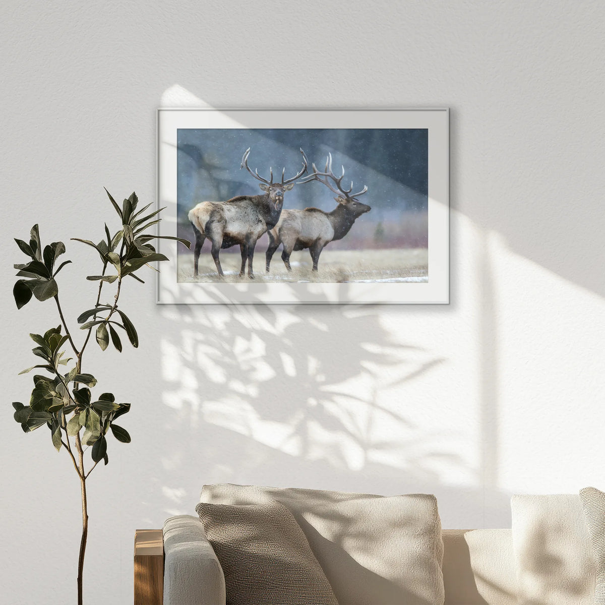 PSP100W070