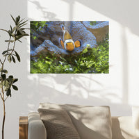 PO-030W020