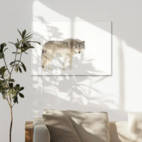 AC-090W060