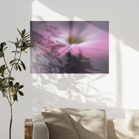PO-075W050