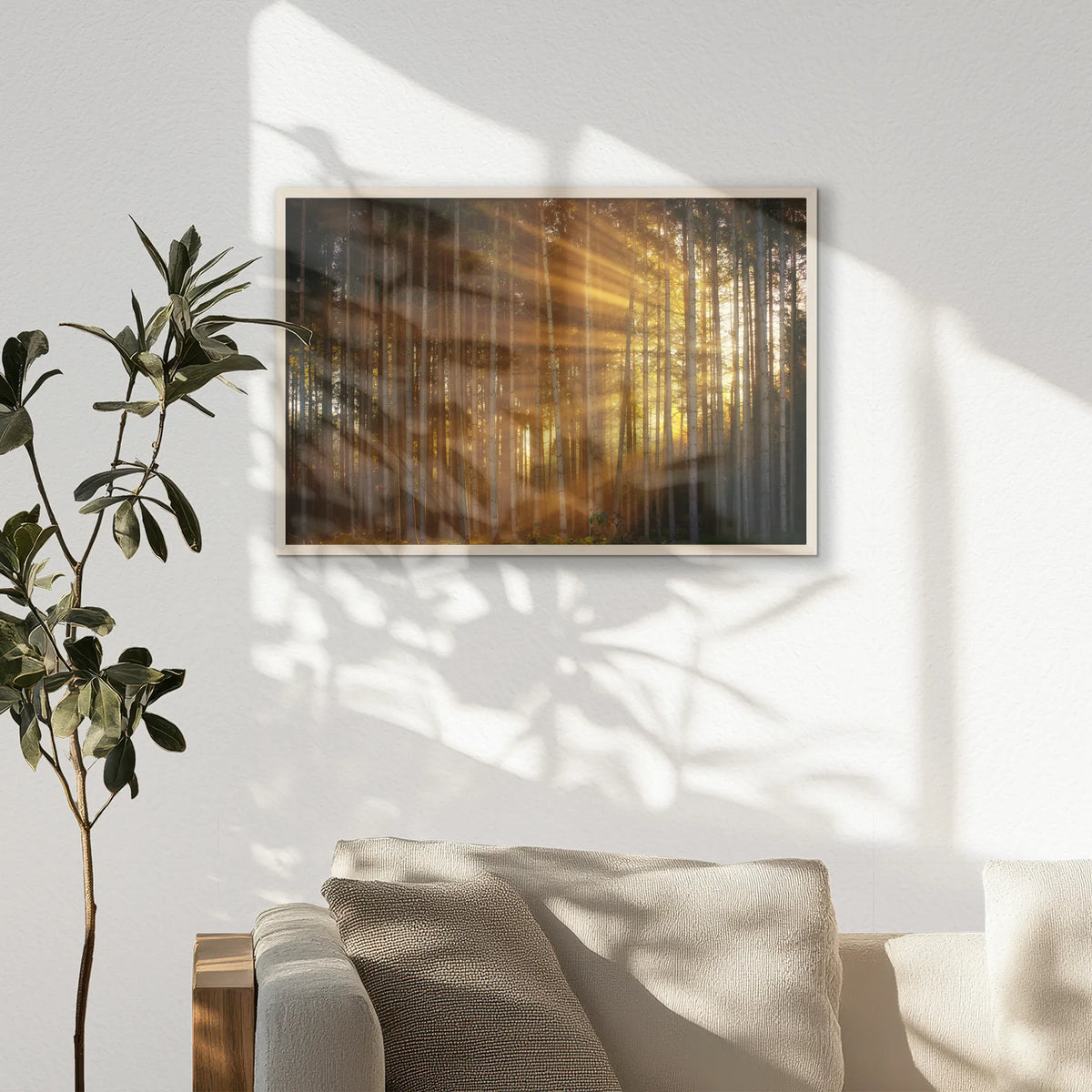 PN-093W062