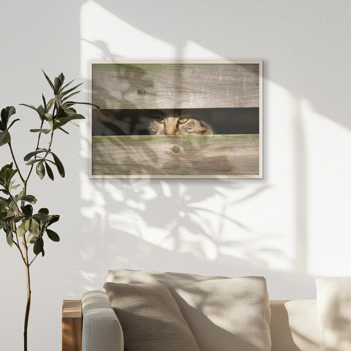PN-093W062