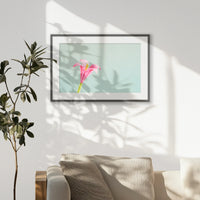 PKP093W062