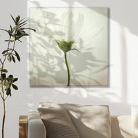 LW-050W050