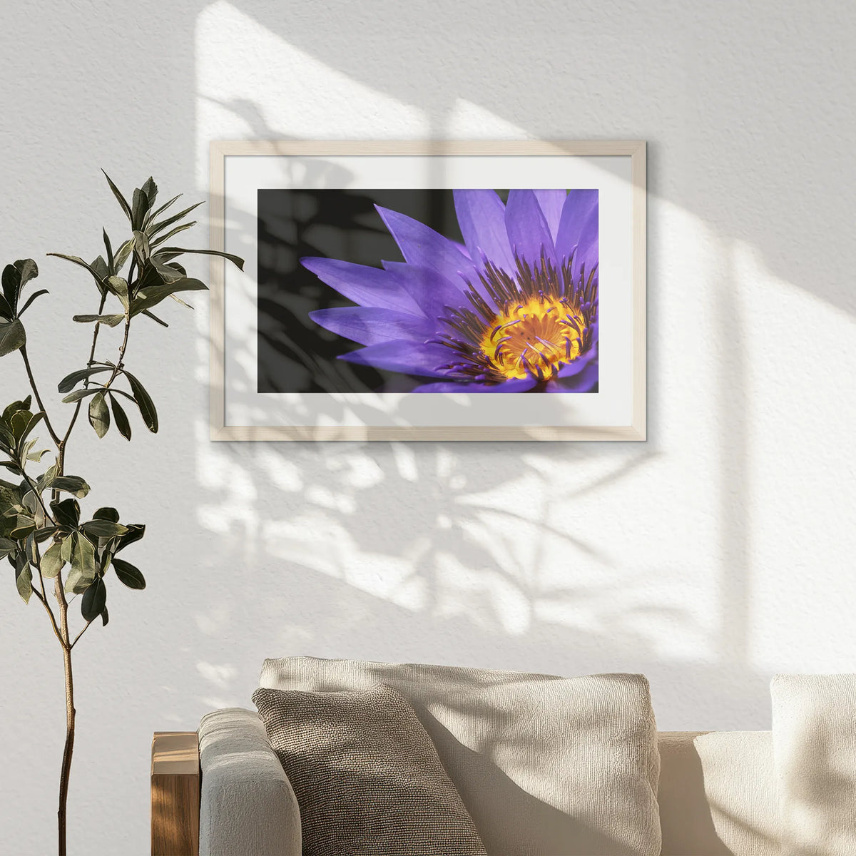 PNP060W040