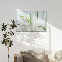 LWN120W080