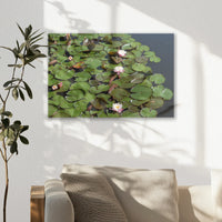 AL-045W030