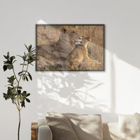 LWN100W070