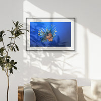PBP093W062