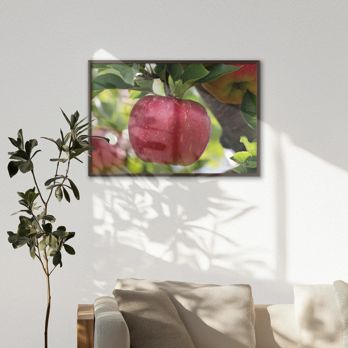 LWN100W070