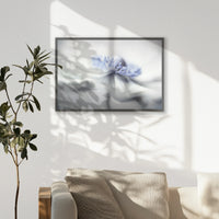 PK-093W062