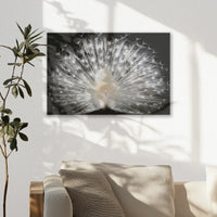 AC-030W020