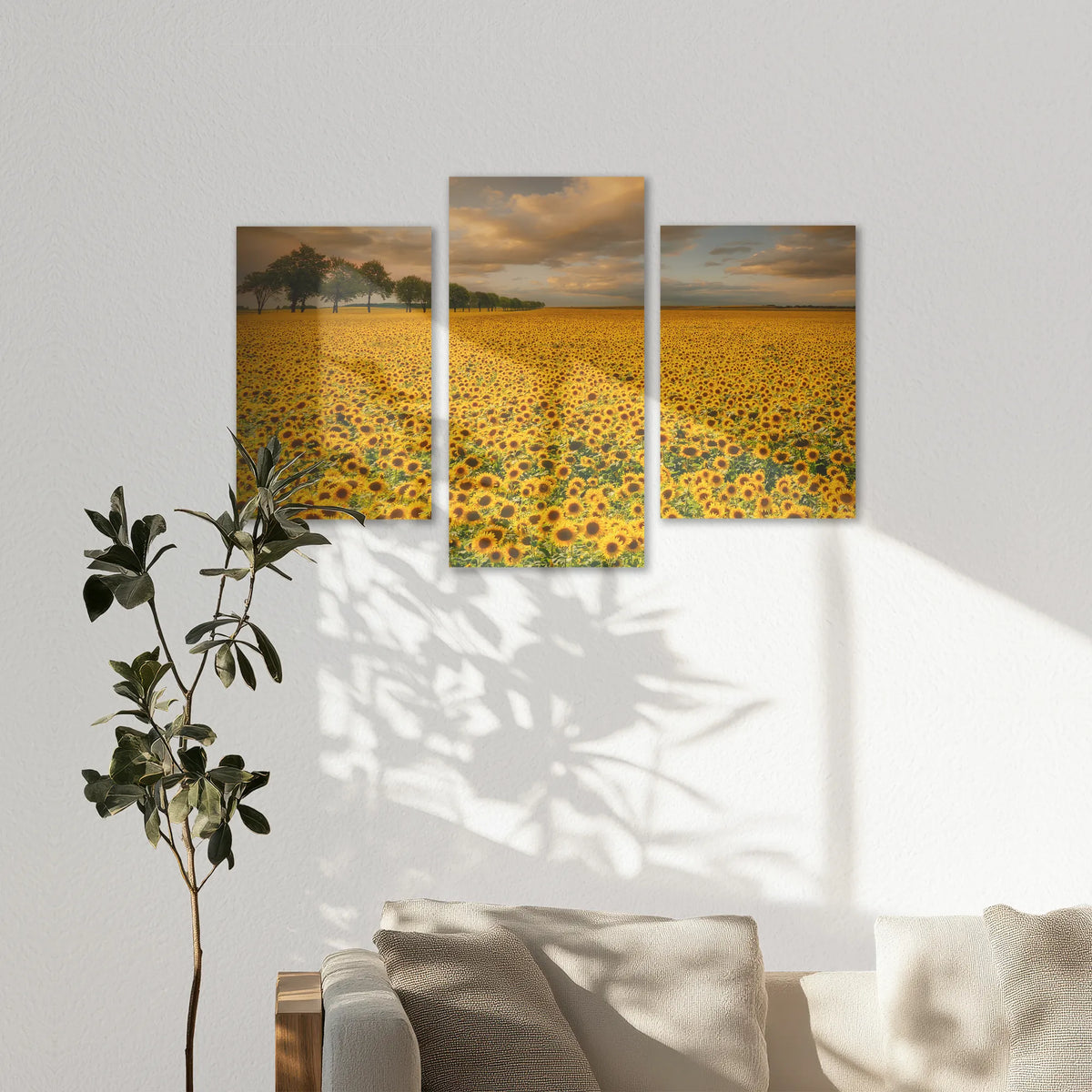 AC-150T100