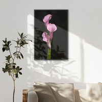 LWB080W120