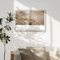PN-060W040