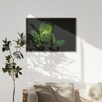 LWN120W080