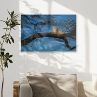 AC-045W030
