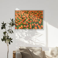 PN-100W070